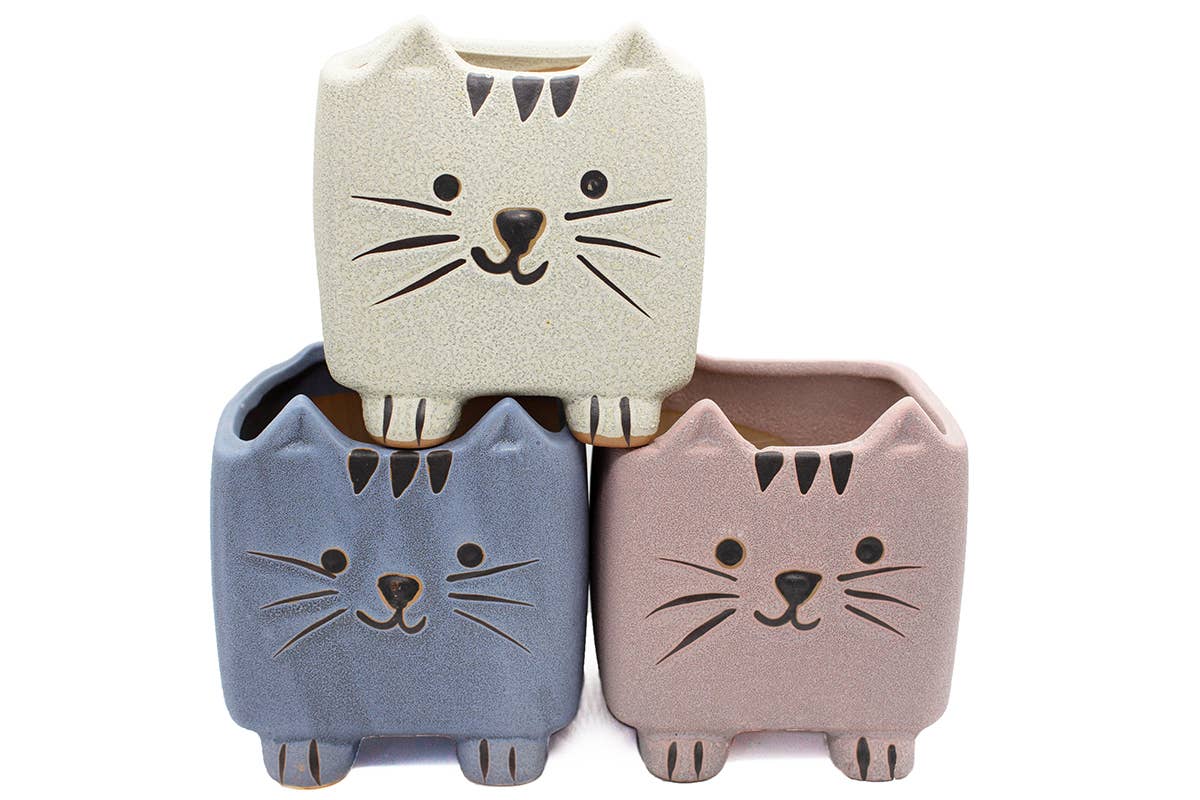 Springer Décor - Super-Cute Cartoon Cats Tri-Color Set
