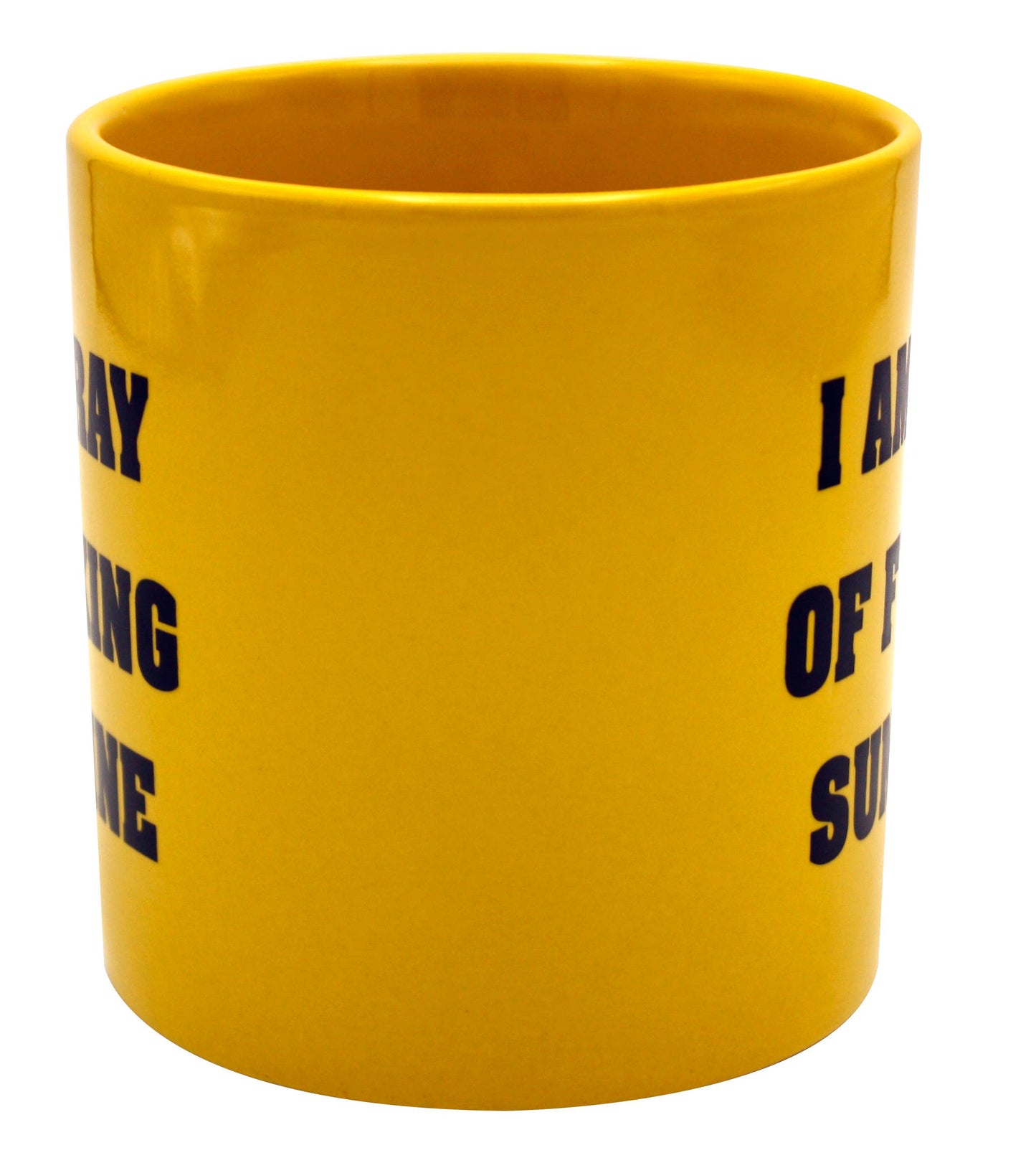 Giant Ray Of Fucking Sunshine Mug