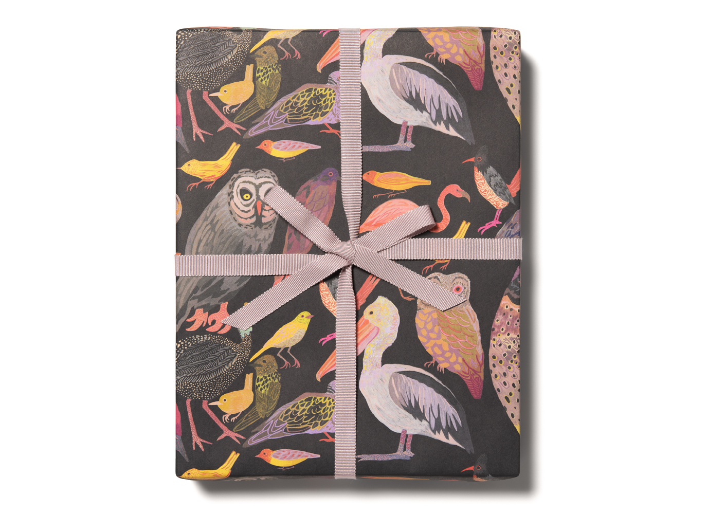 Aviary wrapping paper