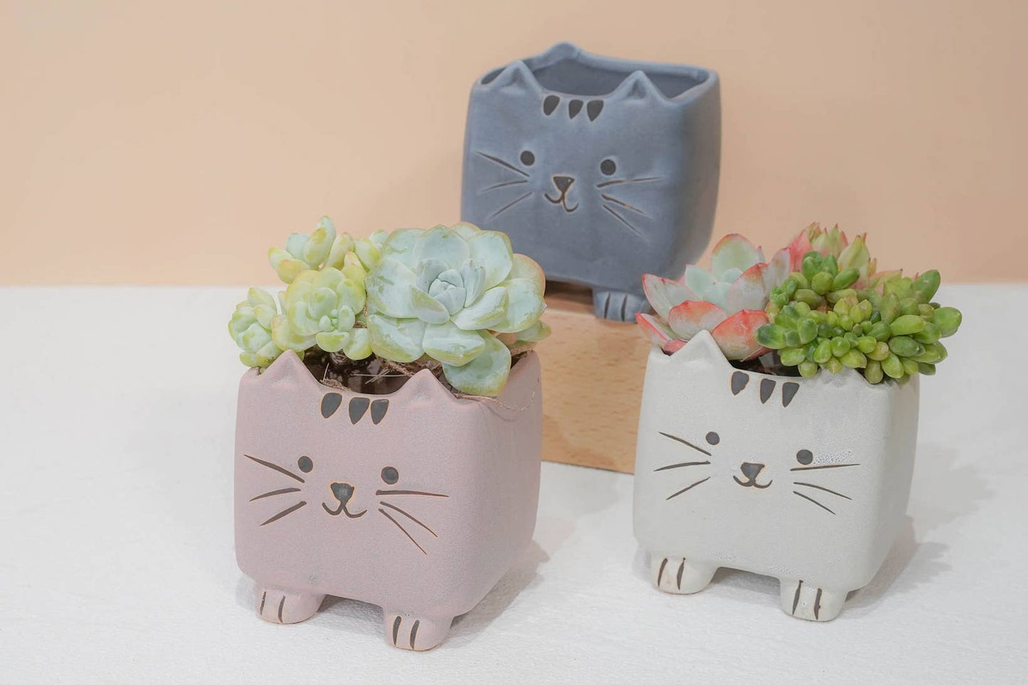 Springer Décor - Super-Cute Cartoon Cats Tri-Color Set