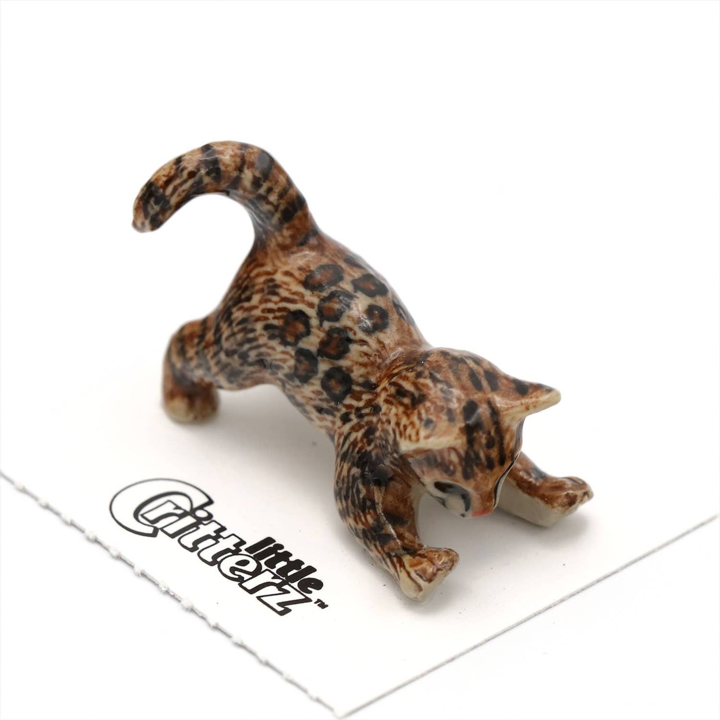 Little Critterz - Simba Bengal Kitten Porcelain Miniature