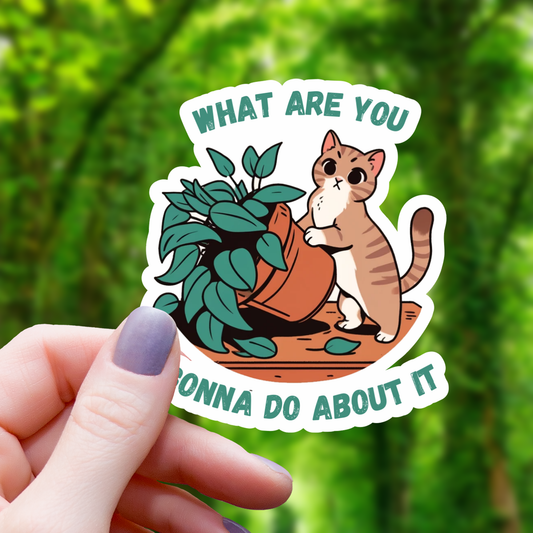 Mimic Gaming Co - What Are You Gonna Do About It Cat Sticker- 3"