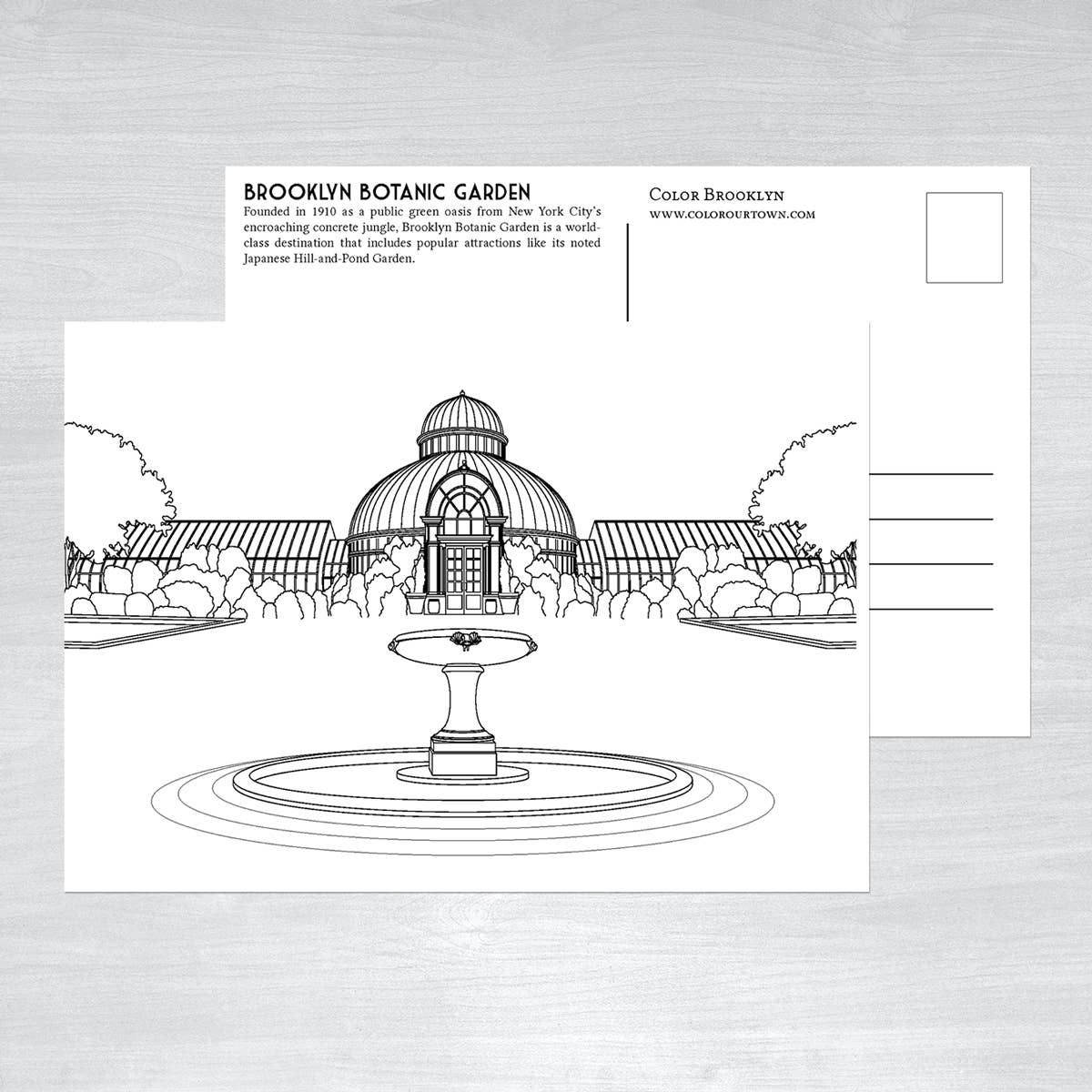 Brooklyn Coloring Postcards - Box Set of 24 designs - NYC