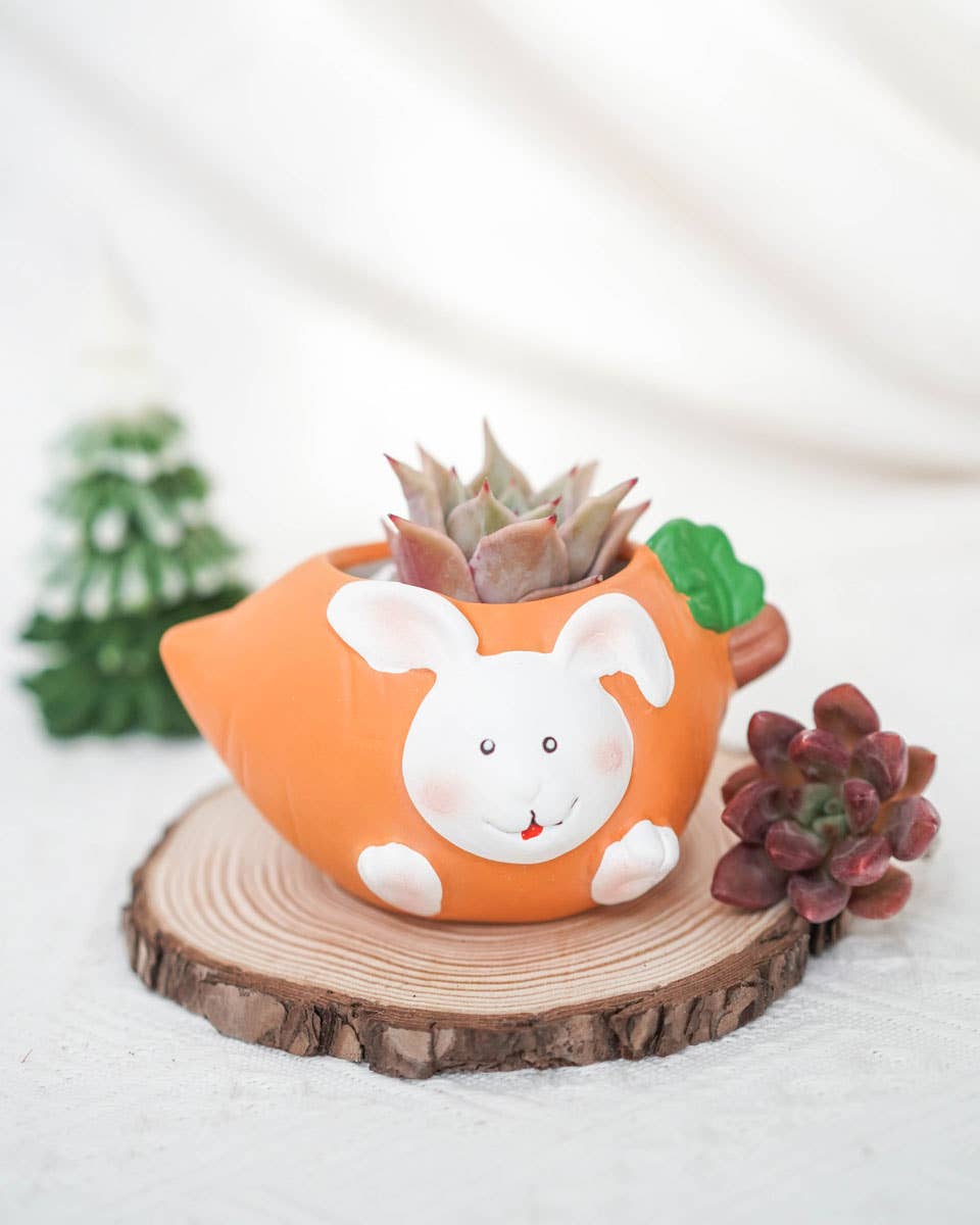 Springer Décor - Fruit Animal