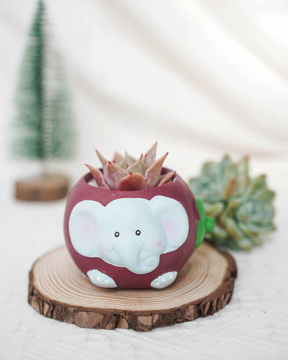Springer Décor - Fruit Animal