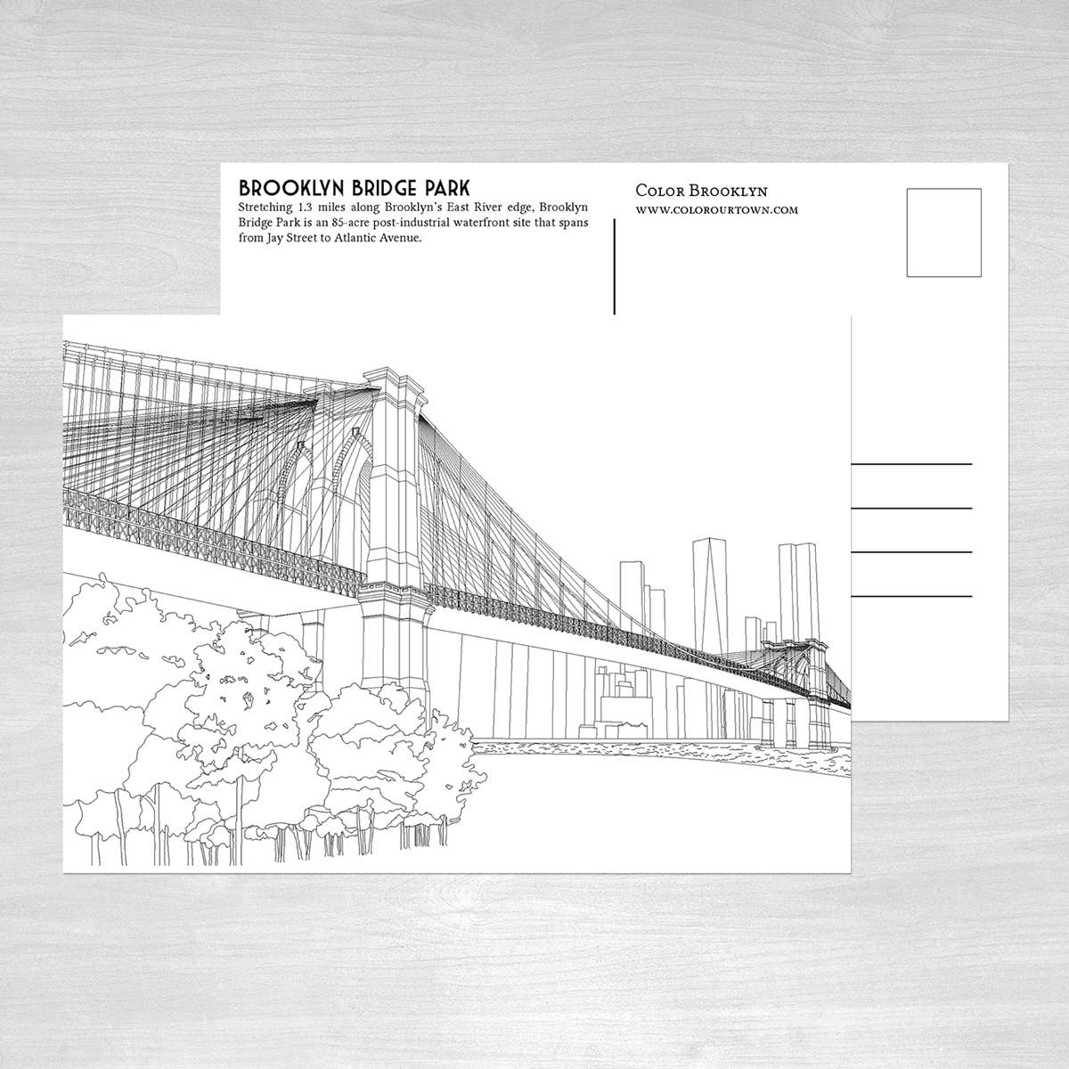 Brooklyn Coloring Postcards - Box Set of 24 designs - NYC