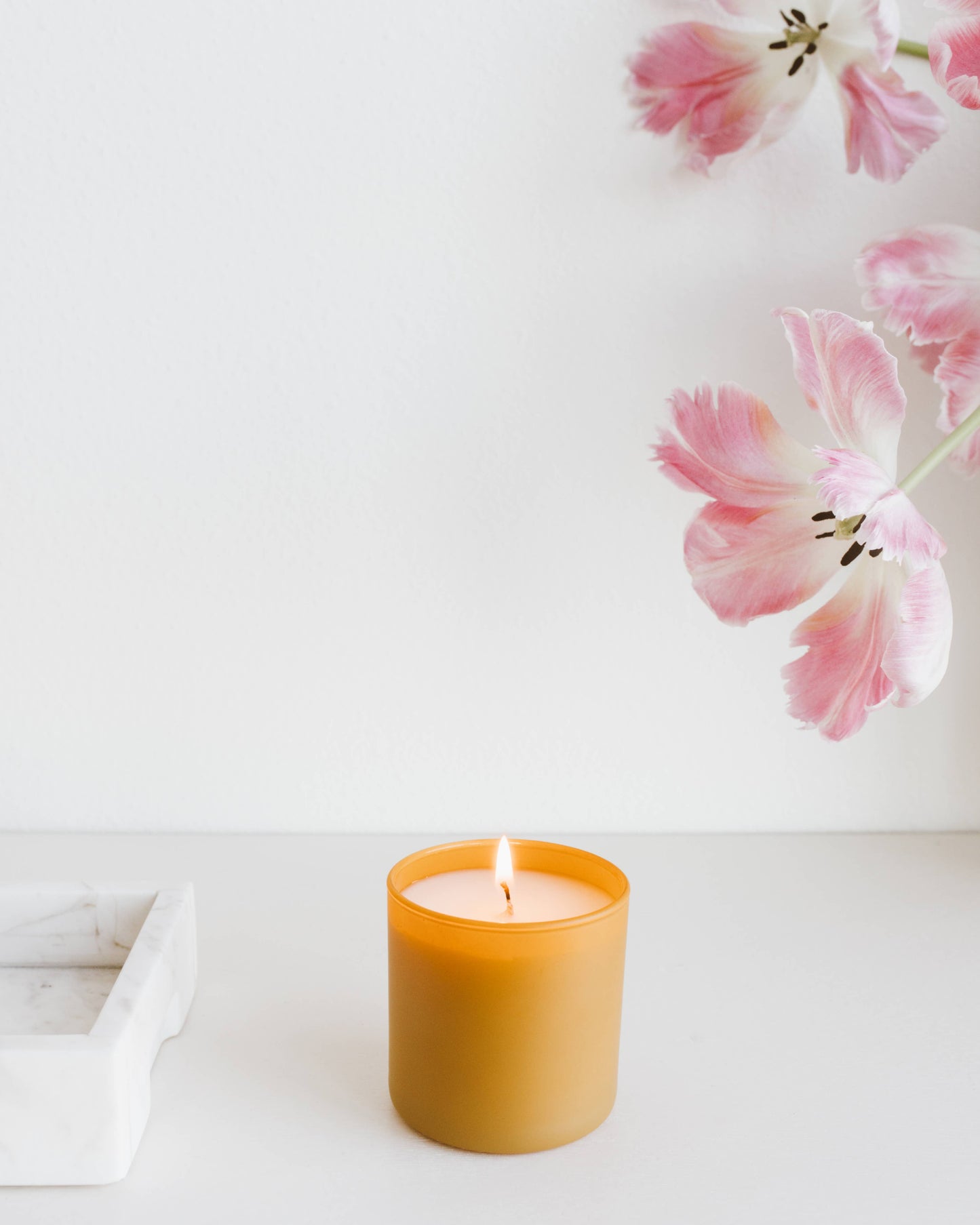 Calyan Wax Co. - Vetiver + Tonka - Dignity Series Soy Candle