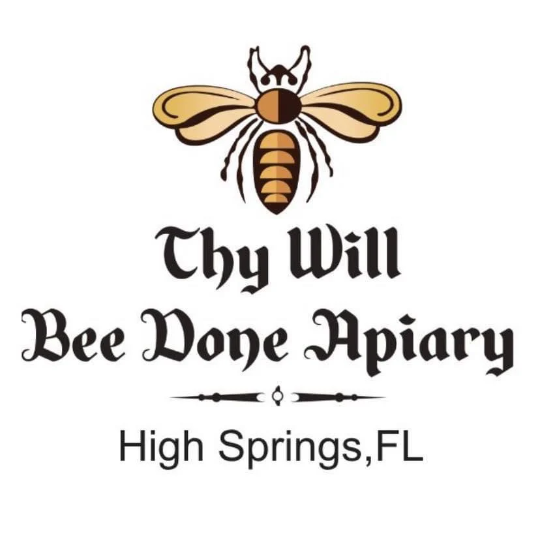 Assorted Beeswax Candles, Natural Beeswax Organic Candle