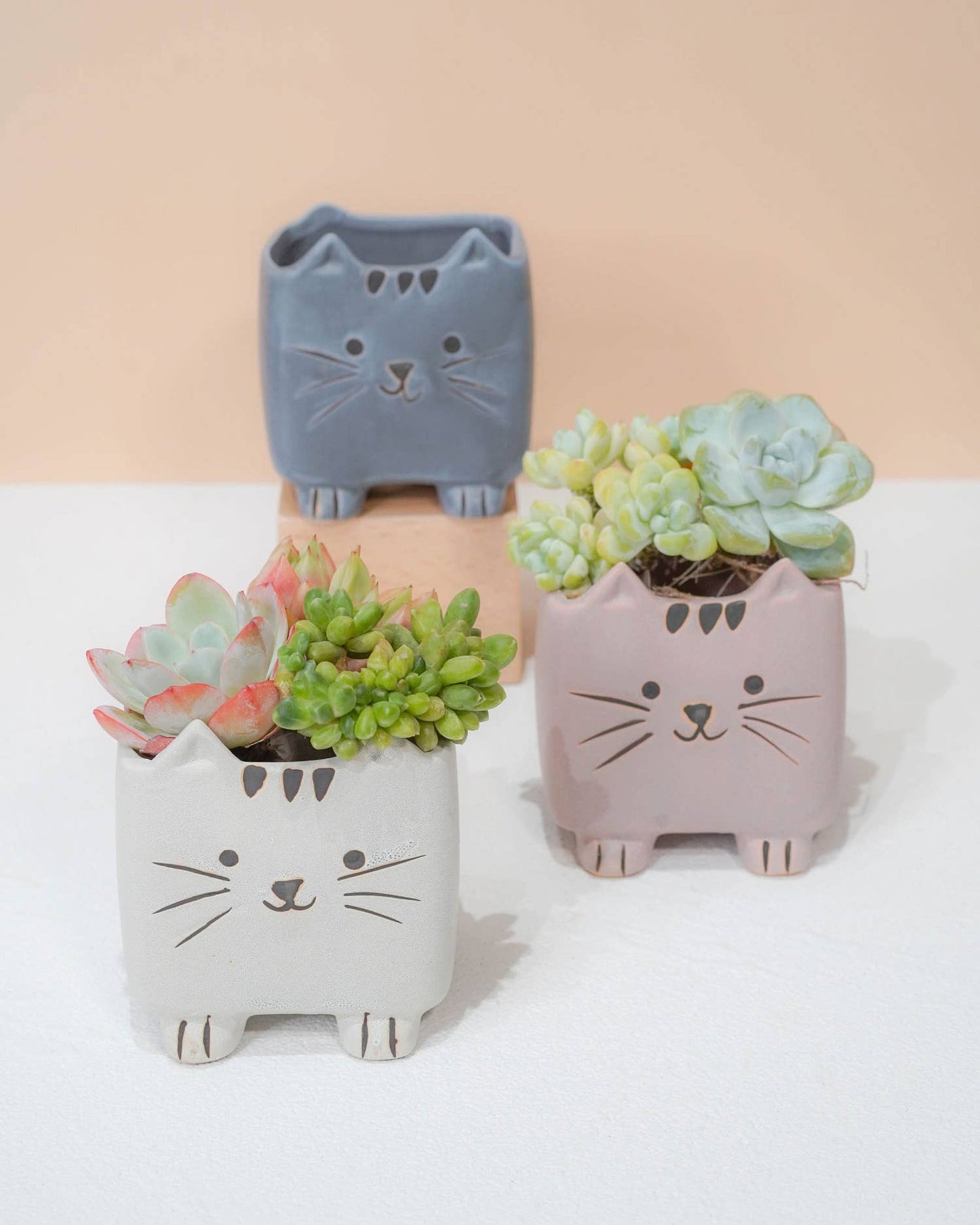Springer Décor - Super-Cute Cartoon Cats Tri-Color Set