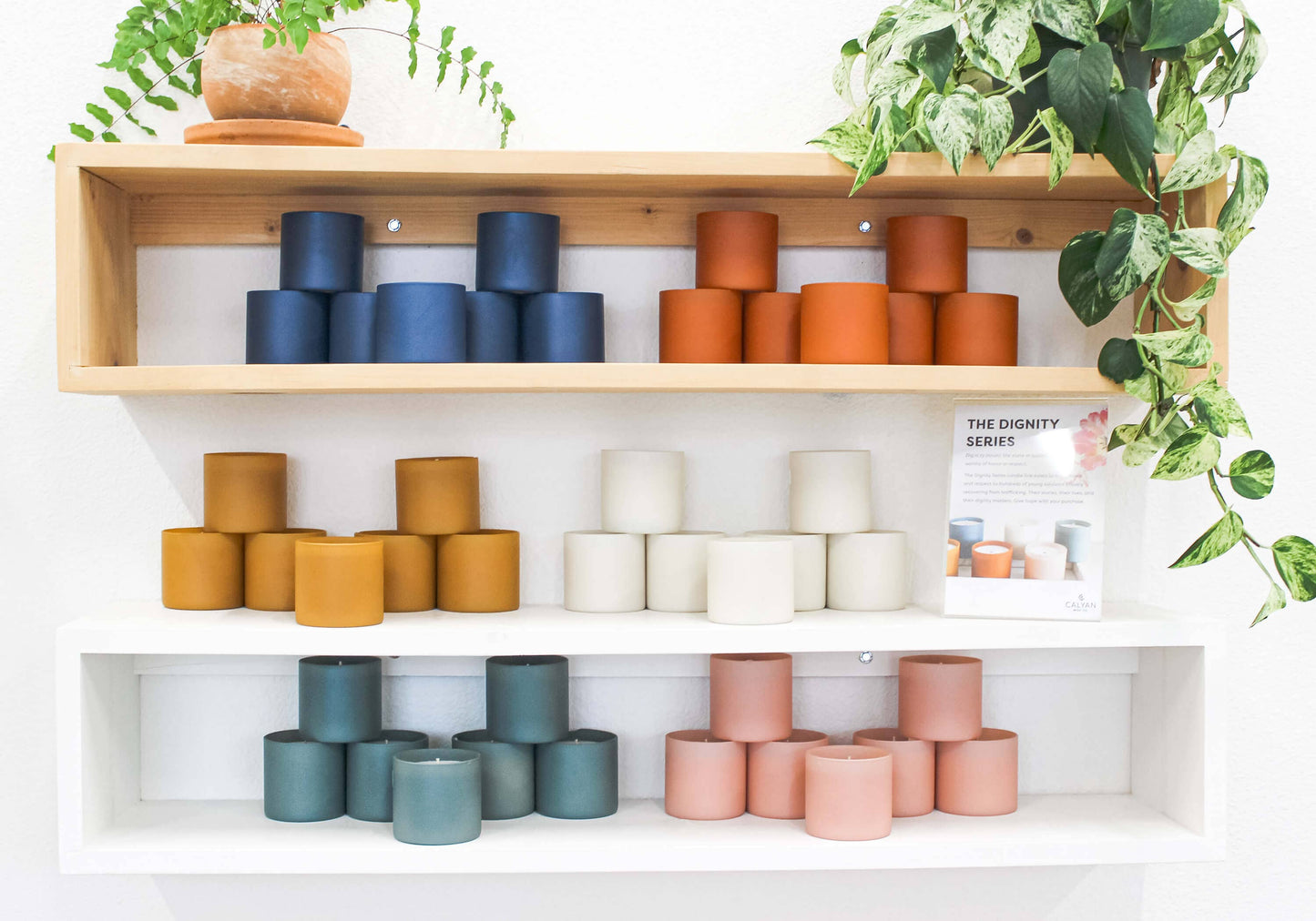 Calyan Wax Co. - Vetiver + Tonka - Dignity Series Soy Candle