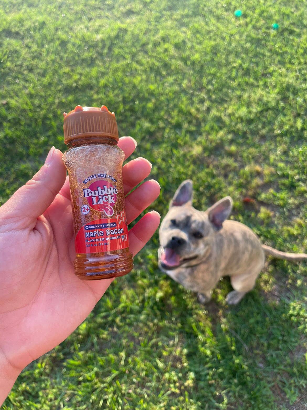 Toysmith - BubbleLick™ Pets Maple Bacon