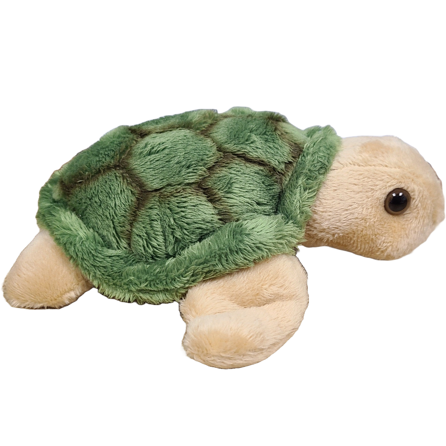 Canned Sea Turtle Stuffed Animal Plush w/Jokes | Unique Gift