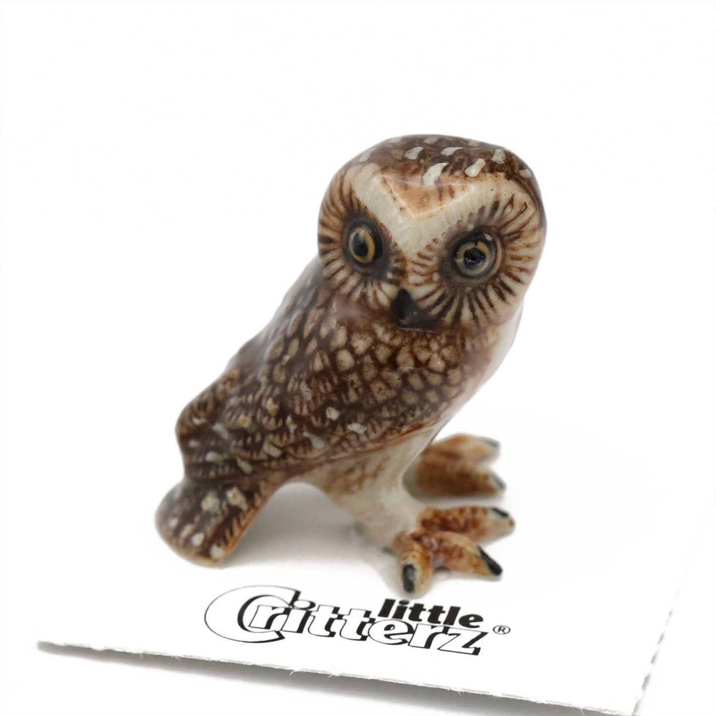 Sawyer Saw-whet Owl Porcelain Miniature