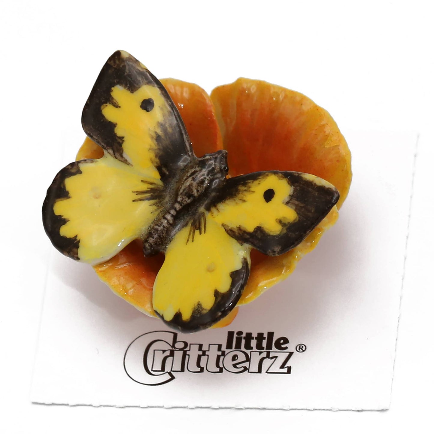 Little Critterz - California Dogface Butterfly Porcelain Miniature