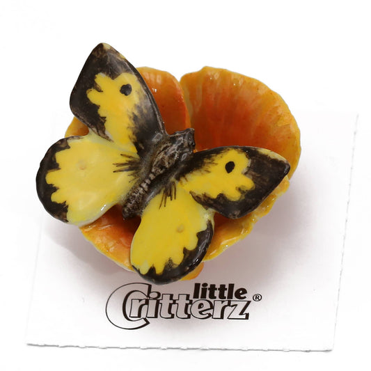 Little Critterz - California Dogface Butterfly Porcelain Miniature