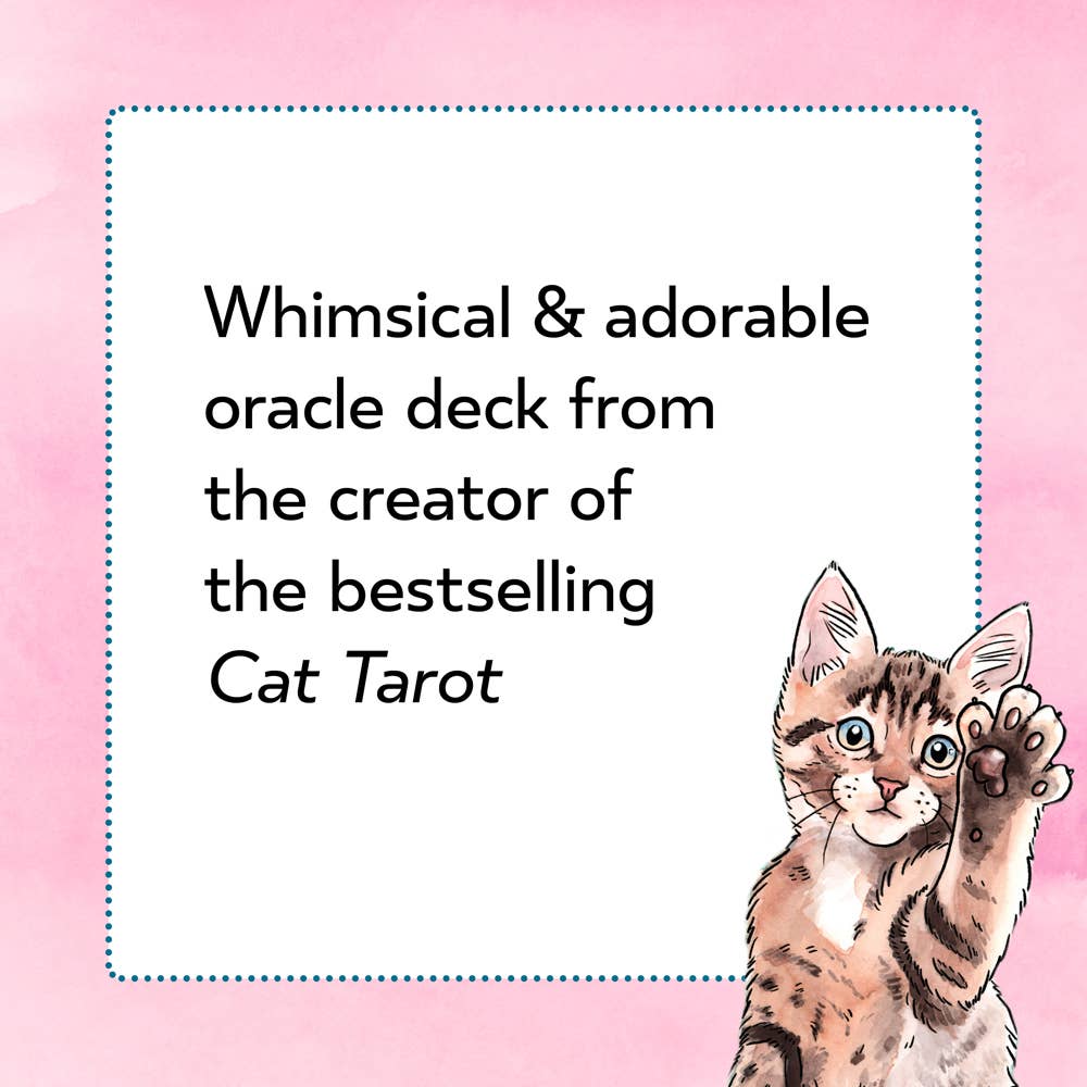 Kitten Oracle