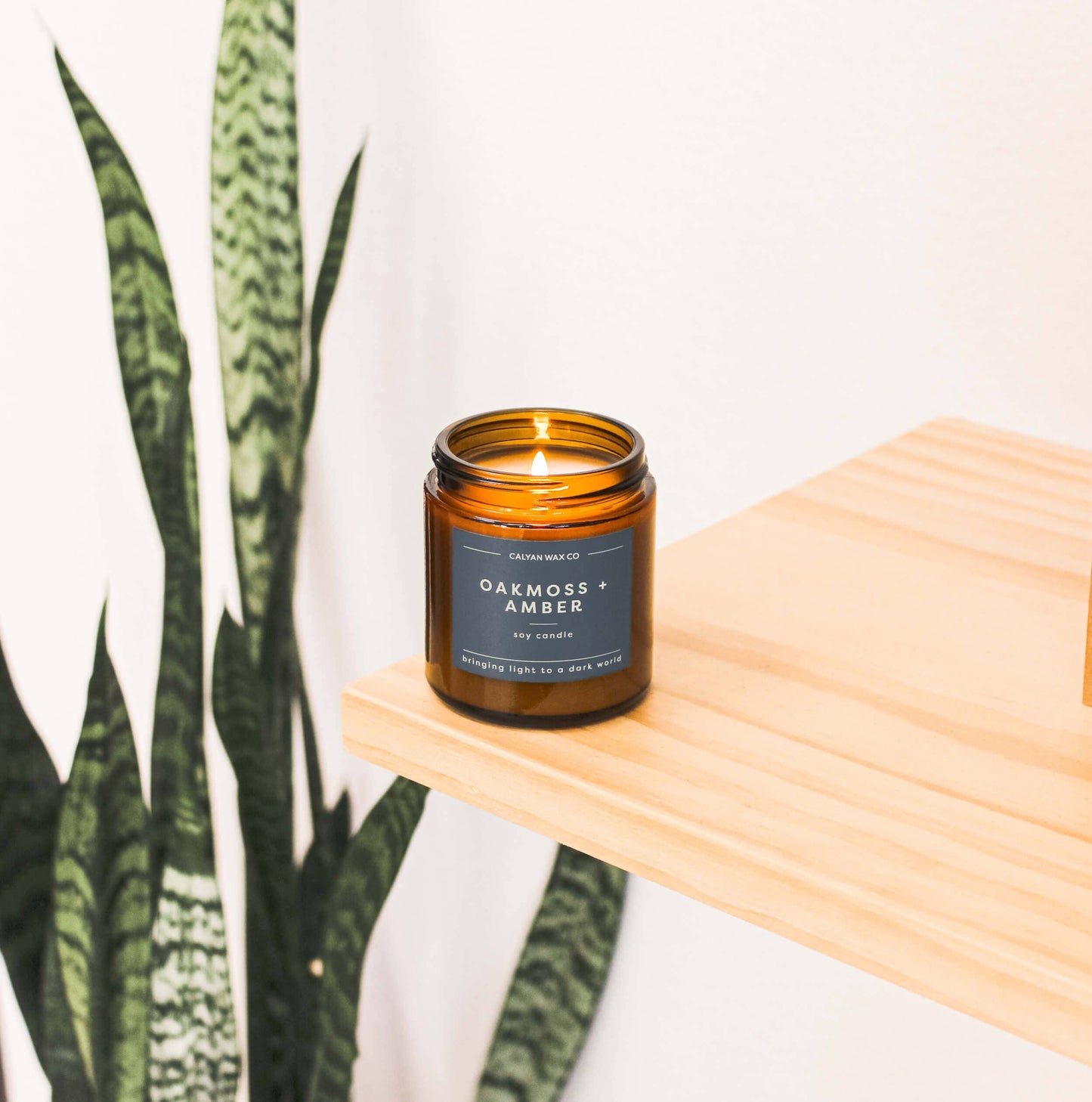 Oakmoss + Amber - Mini Amber Jar Soy Candle