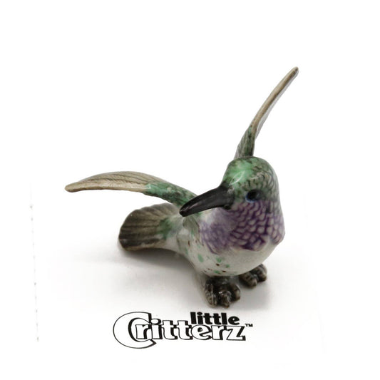 Little Critterz - Sheartail Lucifer Hummingbird Porcelain Miniature