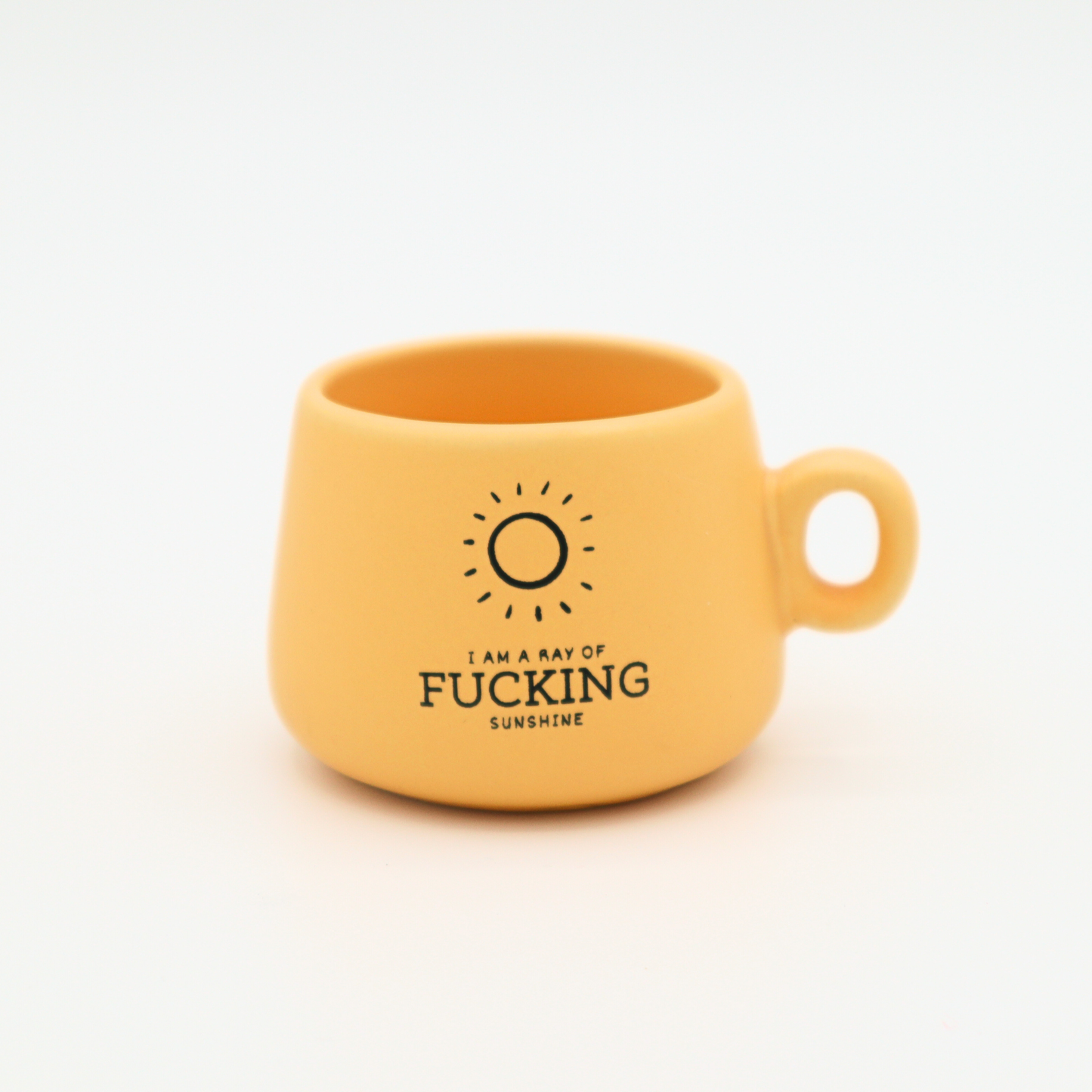 I Am A Ray of Fucking Sunshine - Mug Shot Glass