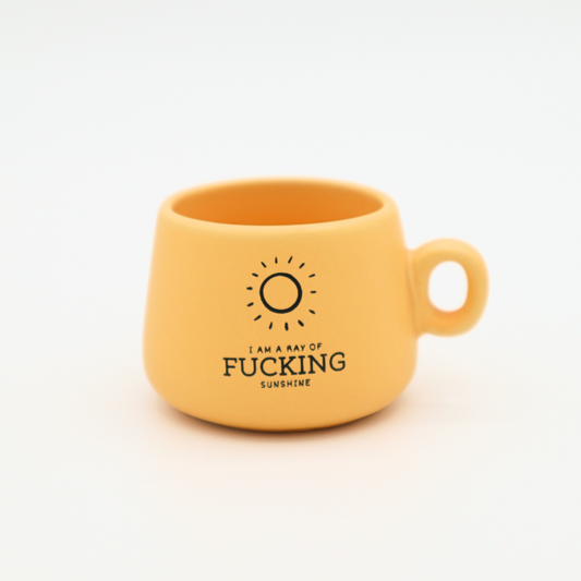 I Am A Ray of Fucking Sunshine - Mug Shot Glass