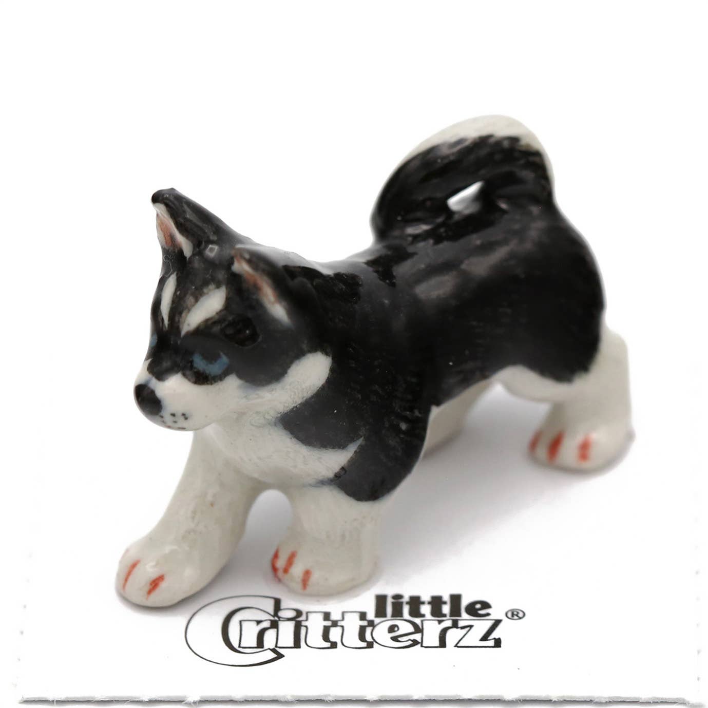 Little Critterz - Bering Siberian Husky Porcelain Miniature