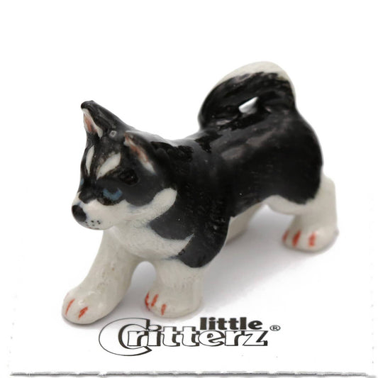 Little Critterz - Bering Siberian Husky Porcelain Miniature
