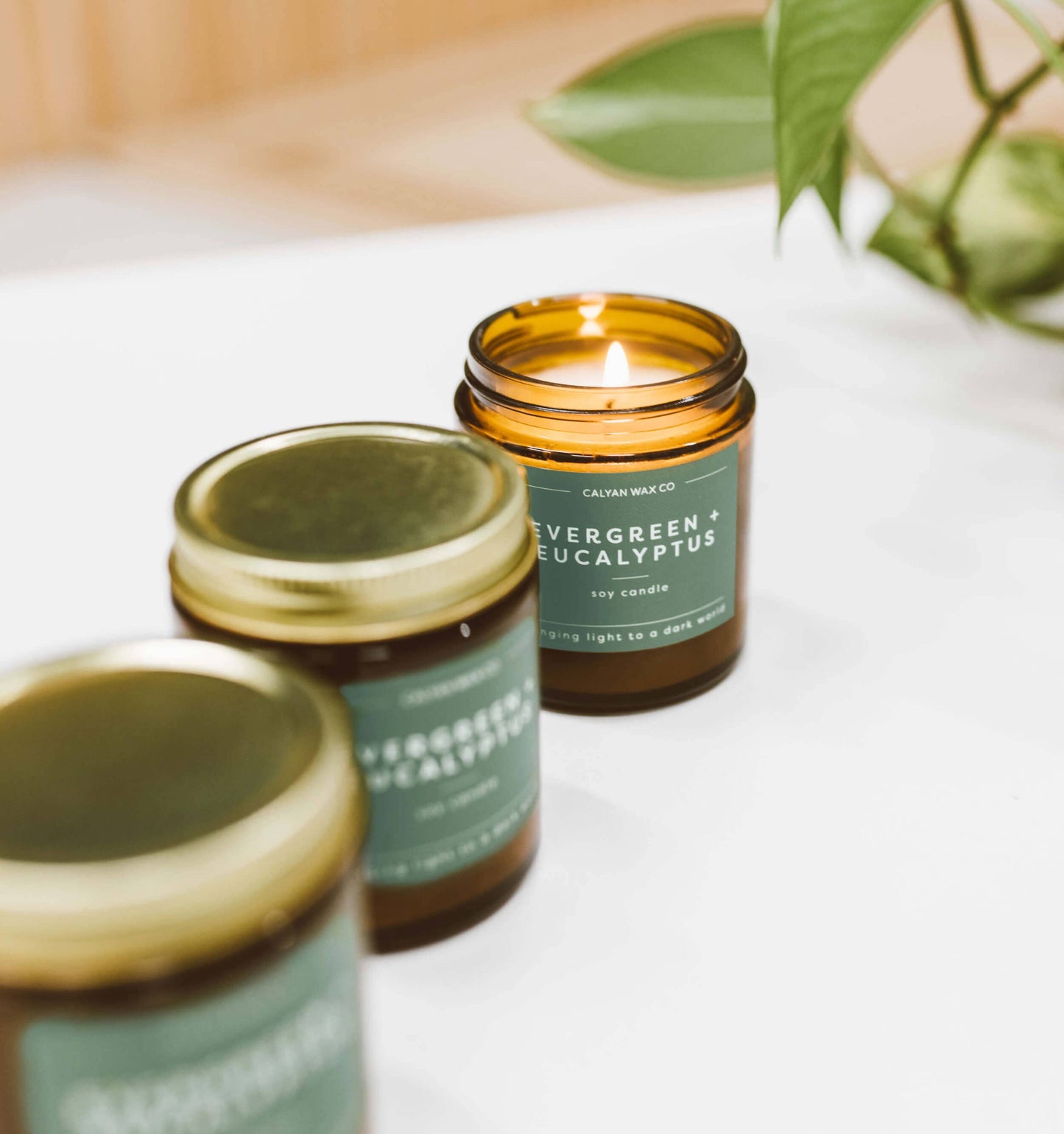 Evergreen + Eucalyptus - Mini Amber Jar Soy Candle