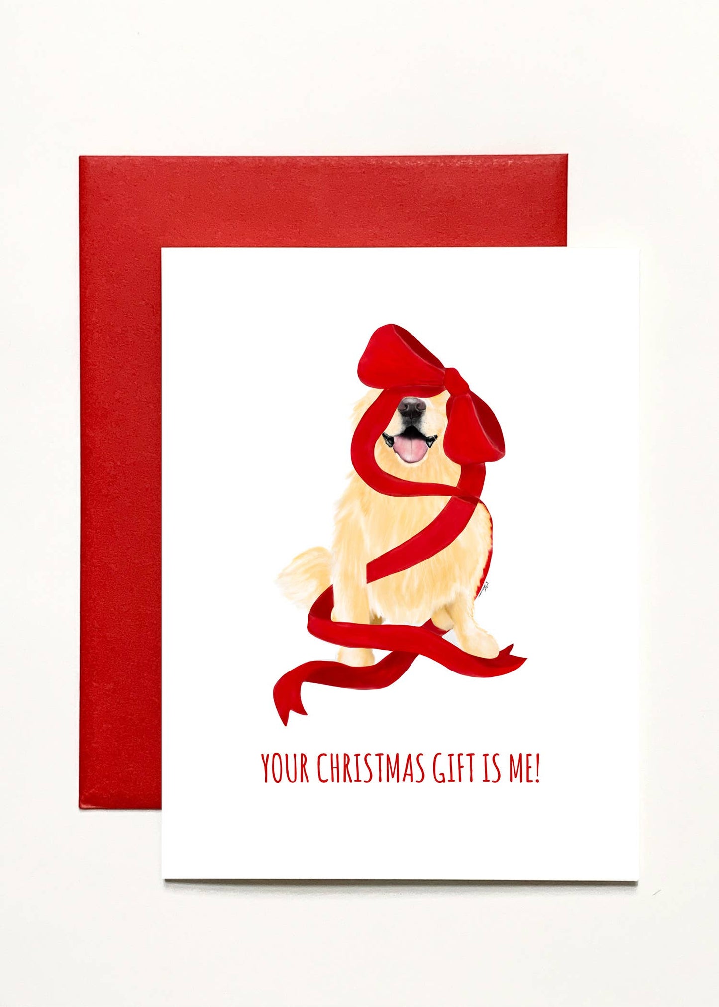 Your Christmas Gift Is Me!