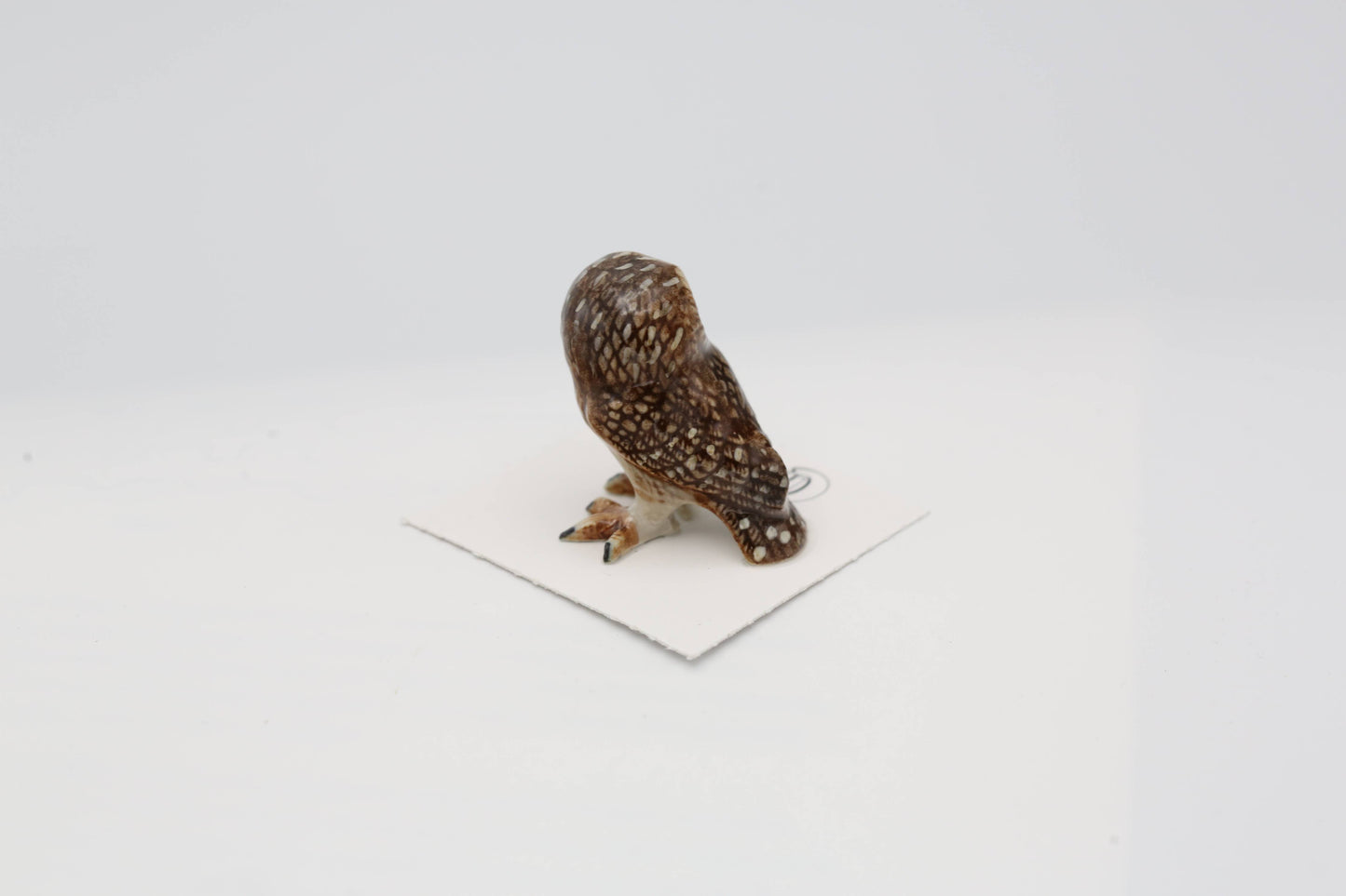 Sawyer Saw-whet Owl Porcelain Miniature