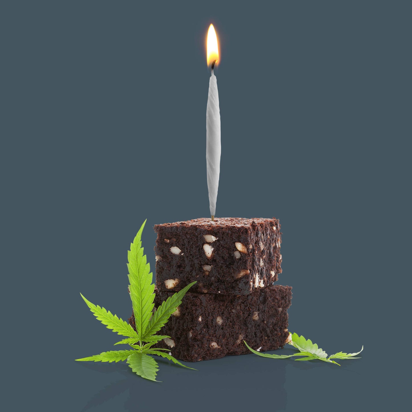 Lit! - Joint Birthday Candles - Set of 6