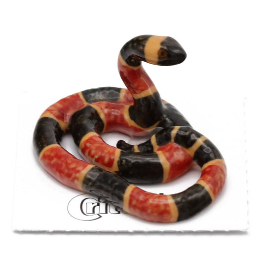 Little Critterz - Rhyme Coral Snake Porcelain Miniature