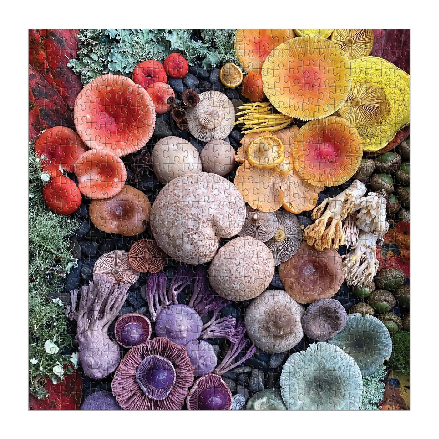 Chronicle Books - Shrooms in Bloom 500 Piece Puzzle