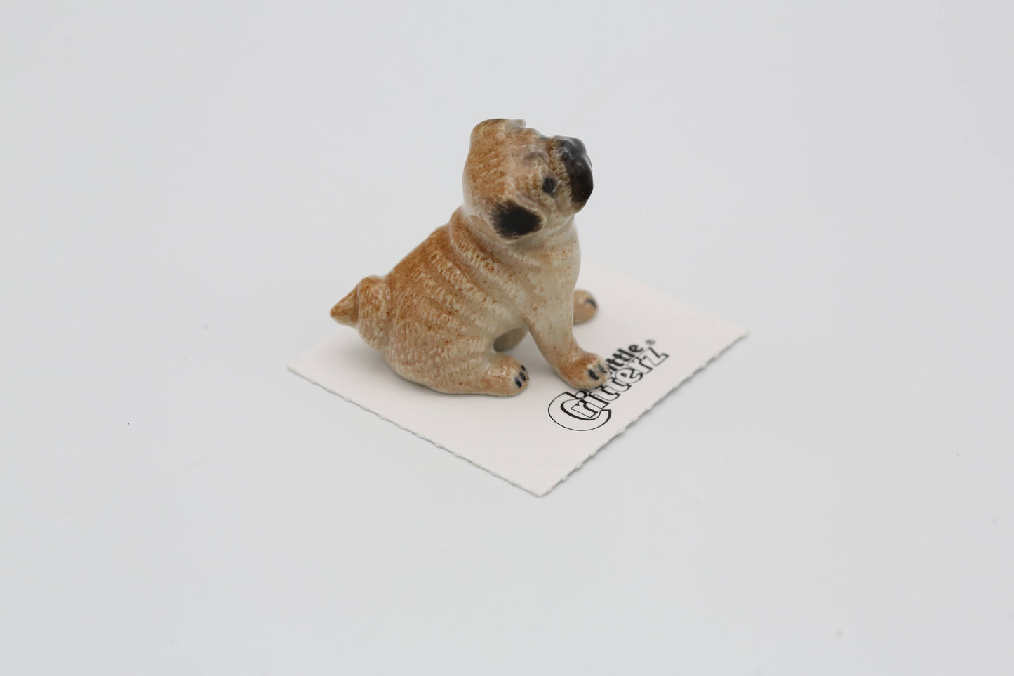 Button Pug Porcelain Miniature