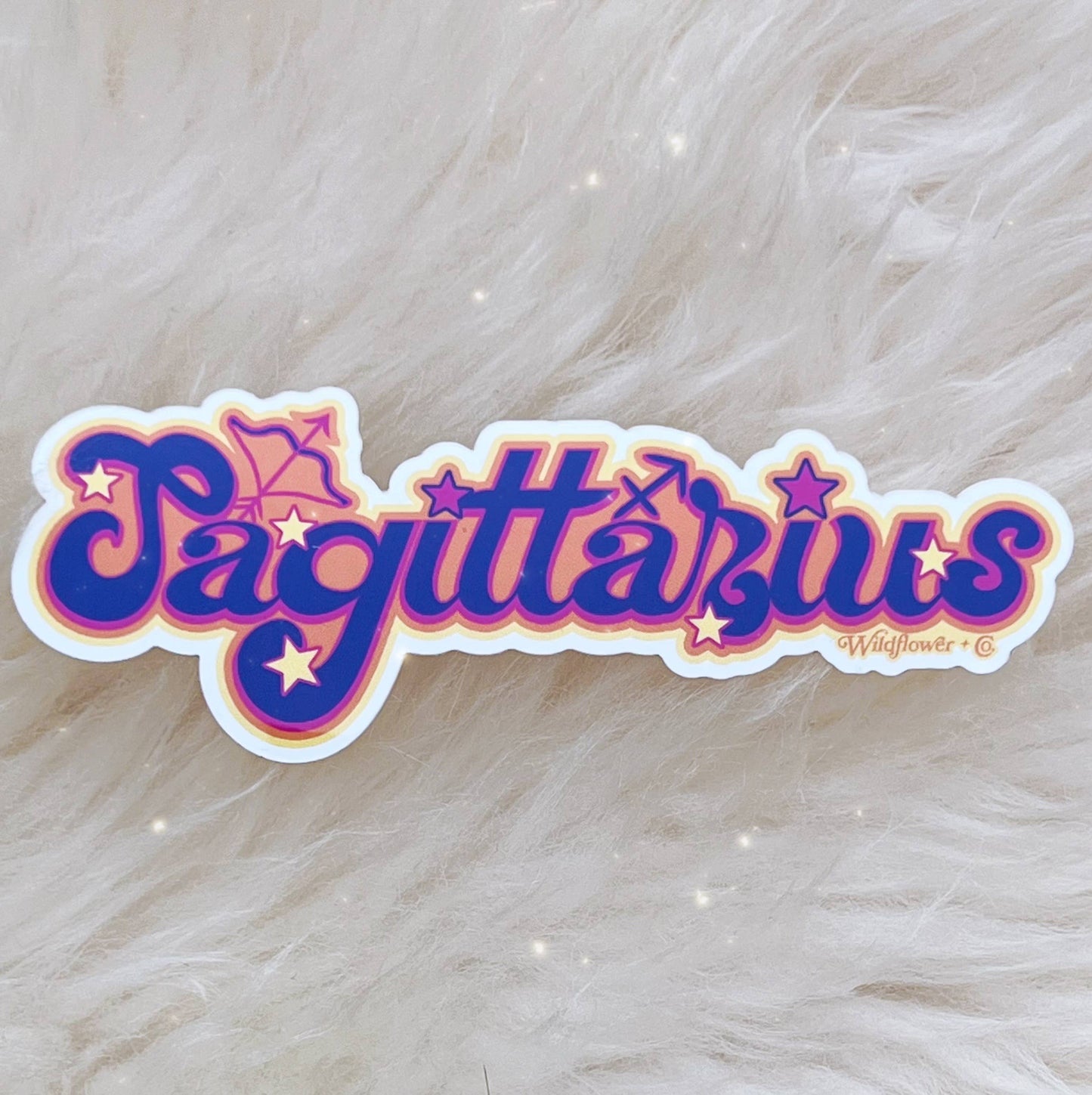 Wildflower + Co. - Zodiac Sticker (Colorful), All Signs