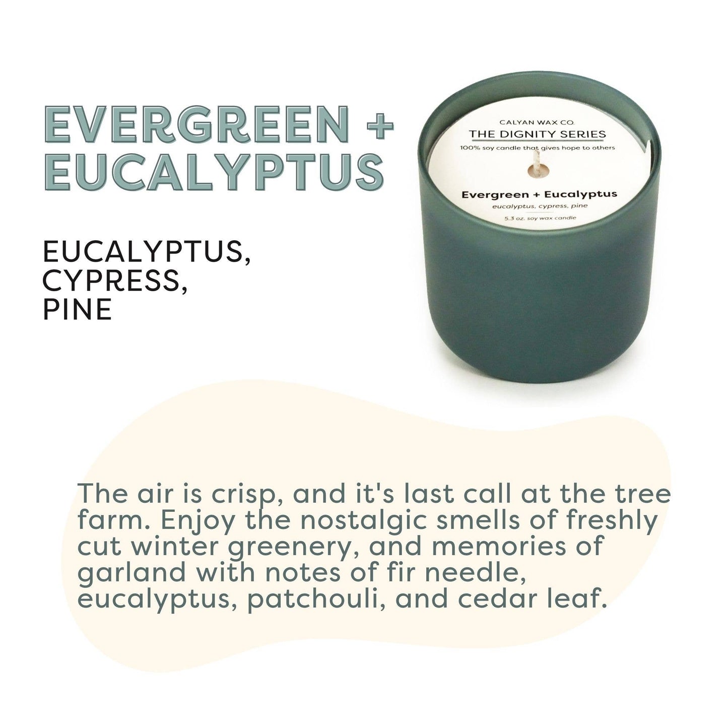 Evergreen + Eucalyptus - Dignity Series Soy Candle