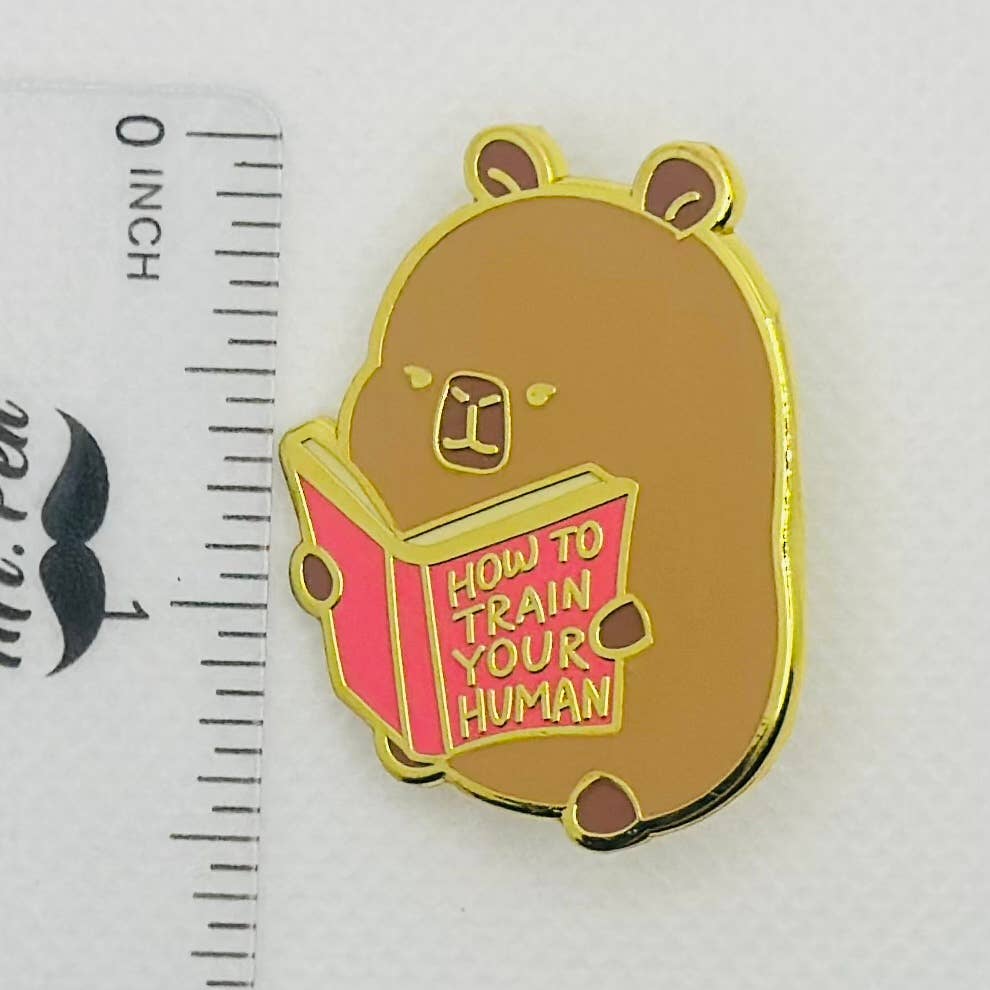 Capybara Cute Hard Enamel Dragon Axolotl Bunny Pin
