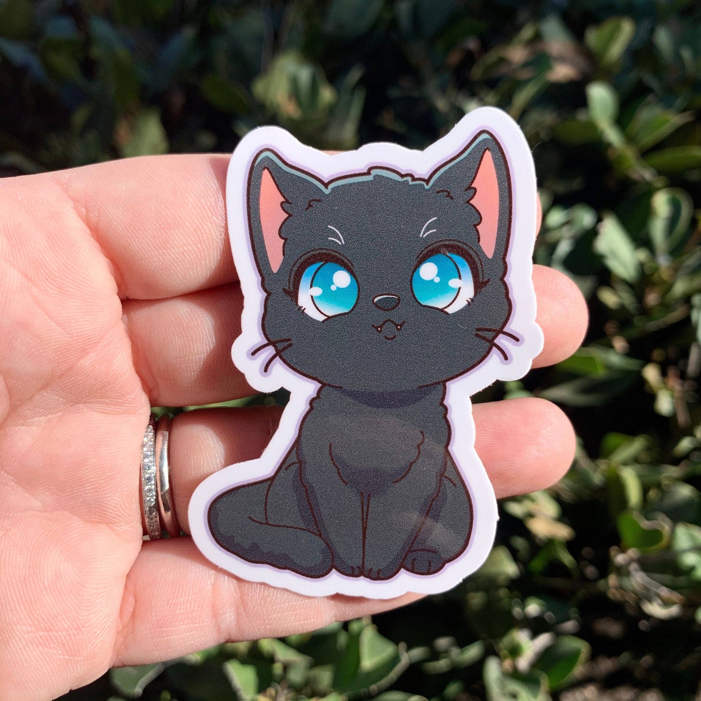 Black Cat Vinyl Sticker / Waterproof