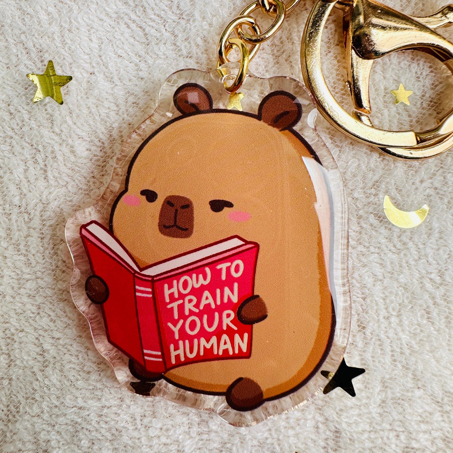 CapyFun - Capybara Acrylic Keychain Cute Kawaii Dumpling Boba Tea Coffee Ice Cream Reading Orange Ramen Foodie Hot Pot Holiday Gift For Her