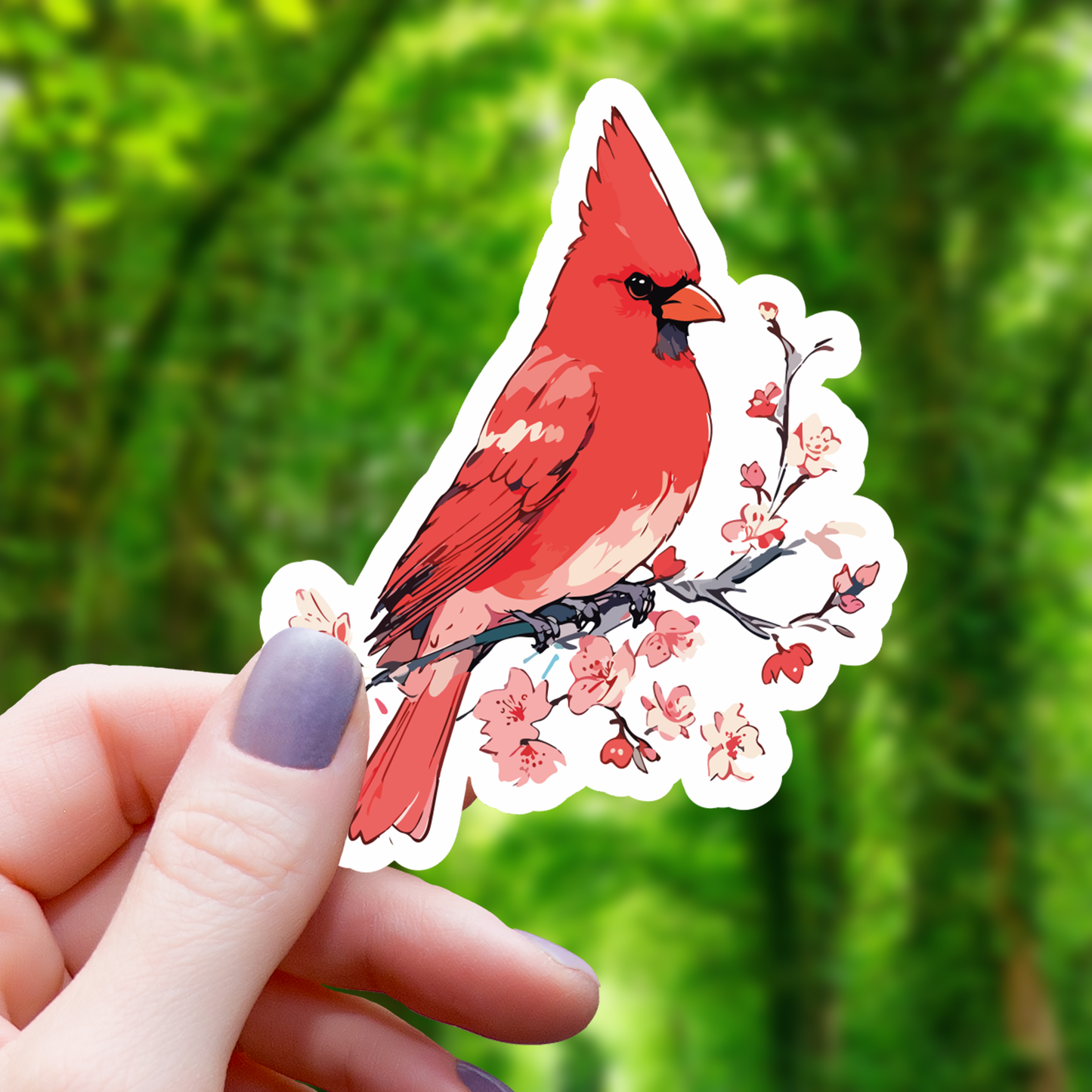 Sakura Cardinal Animal Sticker- 3"