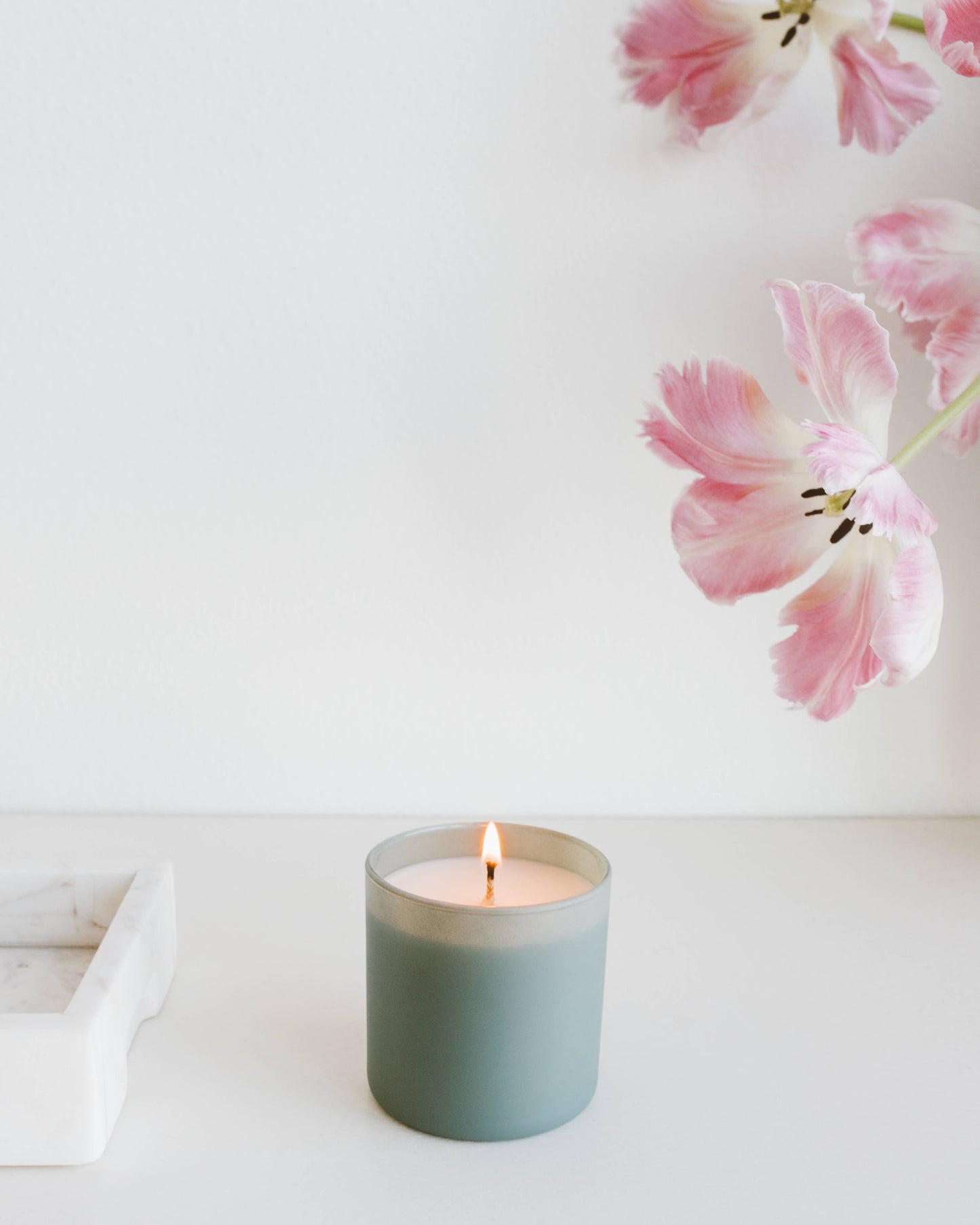 Evergreen + Eucalyptus - Dignity Series Soy Candle