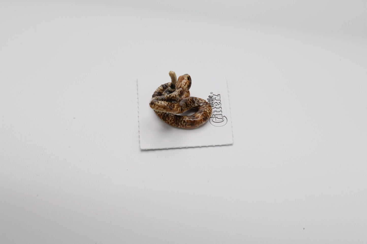 Little Critterz - Shakes Rattlesnake Porcelain Miniature