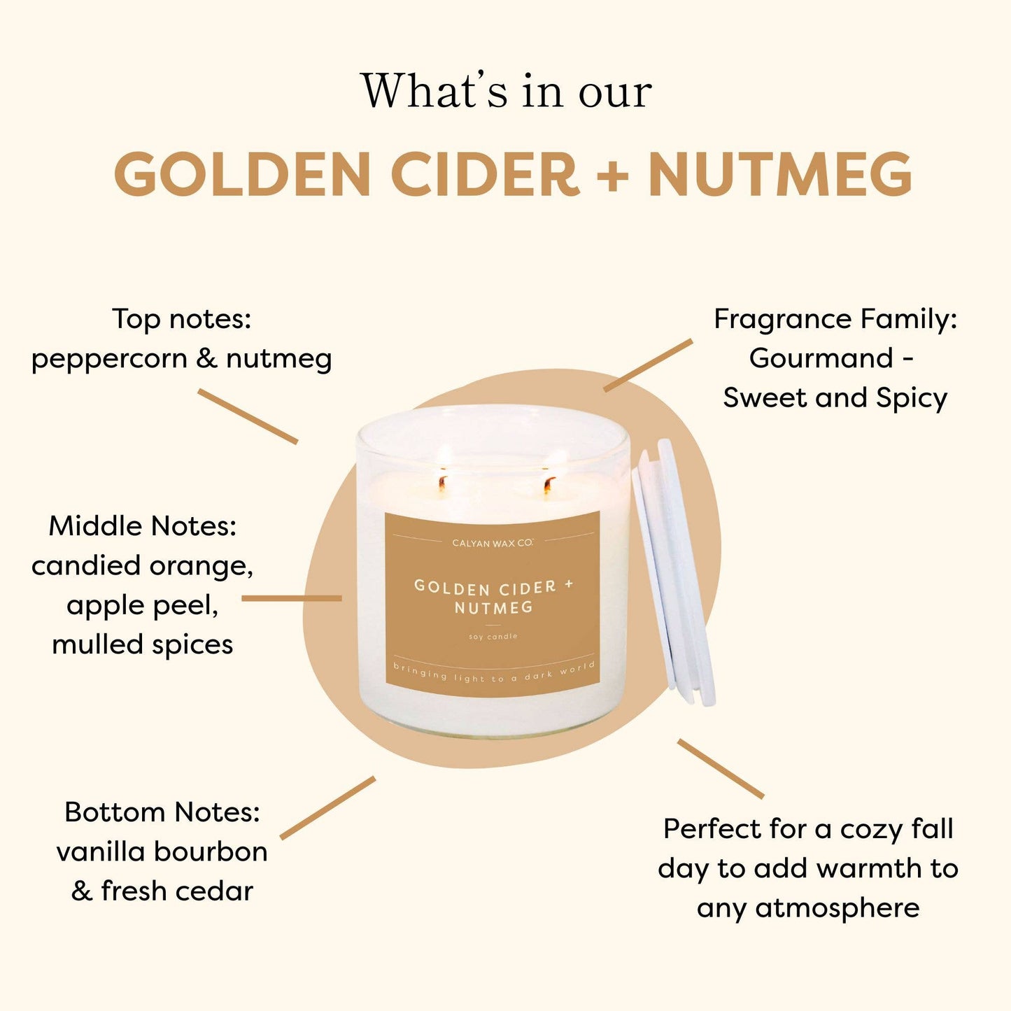 Golden Cider + Nutmeg - Clear Glass Tumbler Soy Candle
