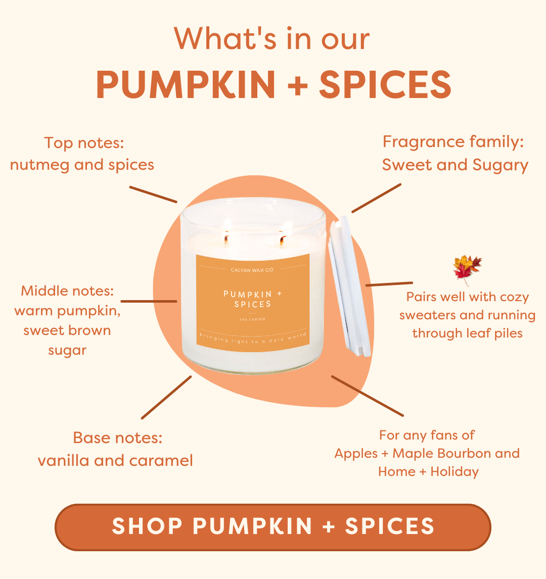 Pumpkin + Spices - Clear Glass Tumbler Soy Candle
