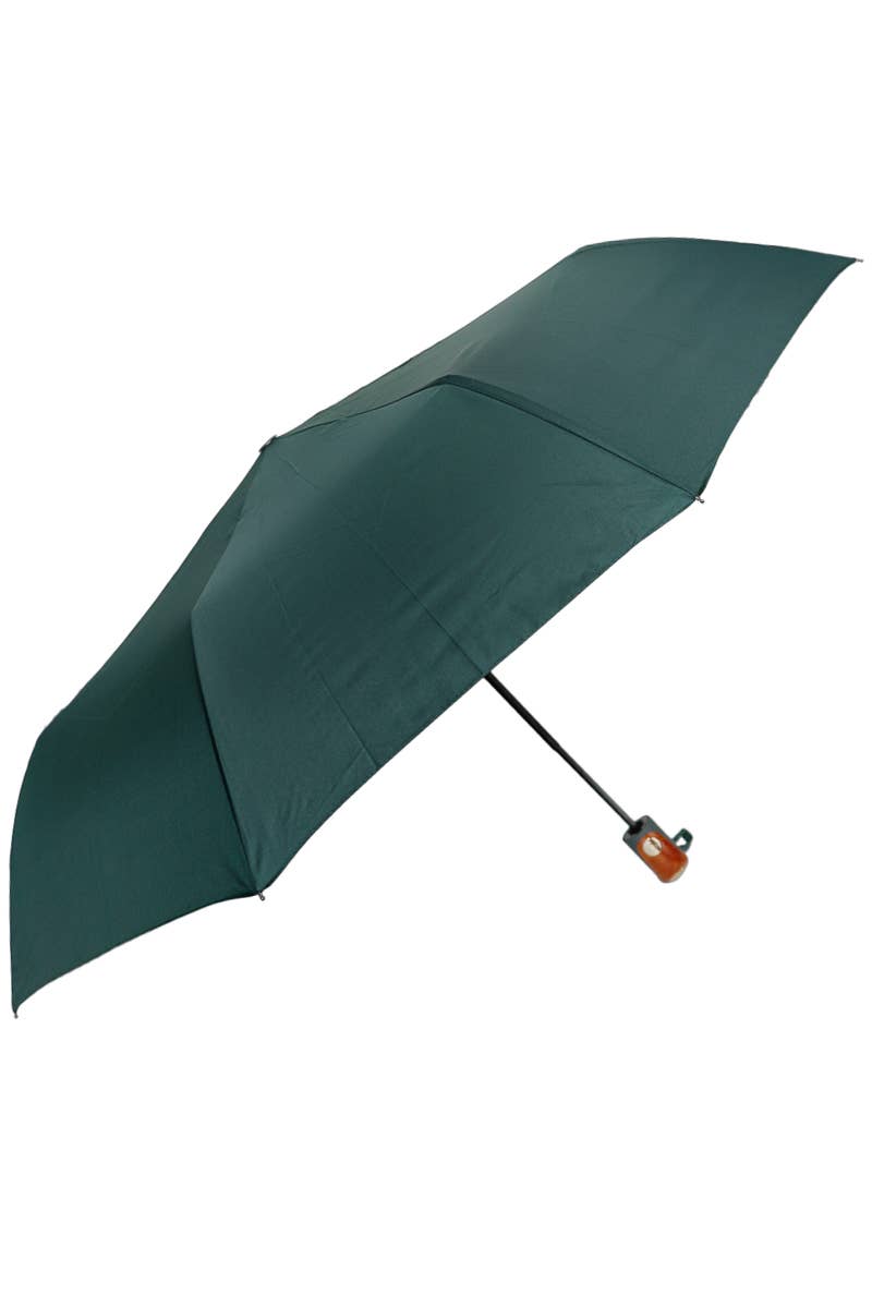 Monochrome Auto Open-fold Compact Umbrella