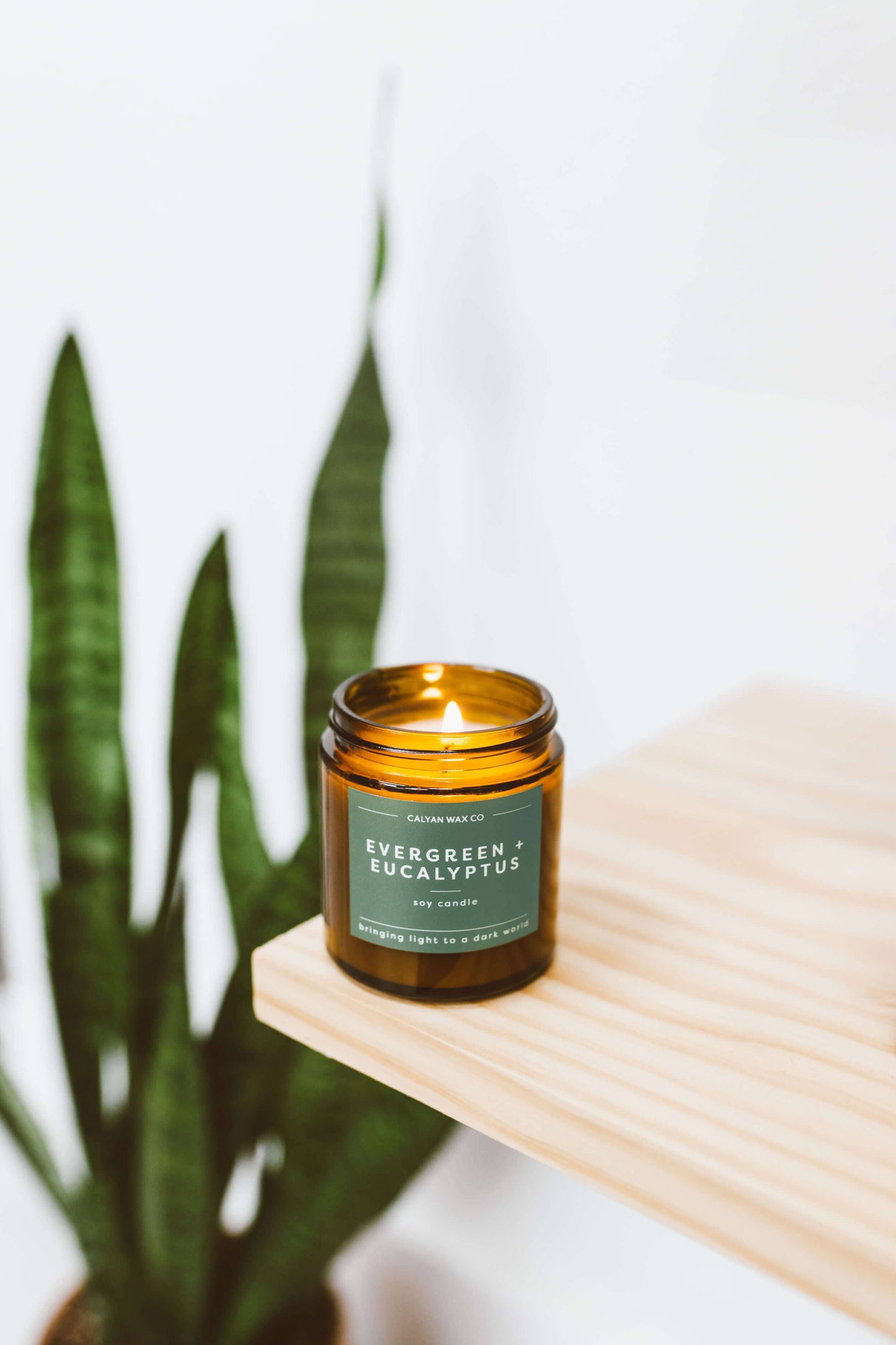 Evergreen + Eucalyptus - Mini Amber Jar Soy Candle