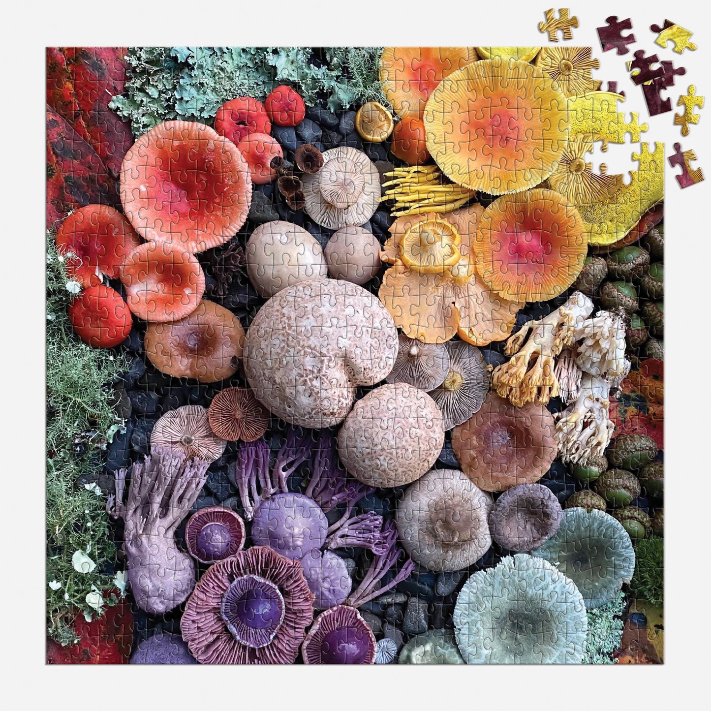 Chronicle Books - Shrooms in Bloom 500 Piece Puzzle