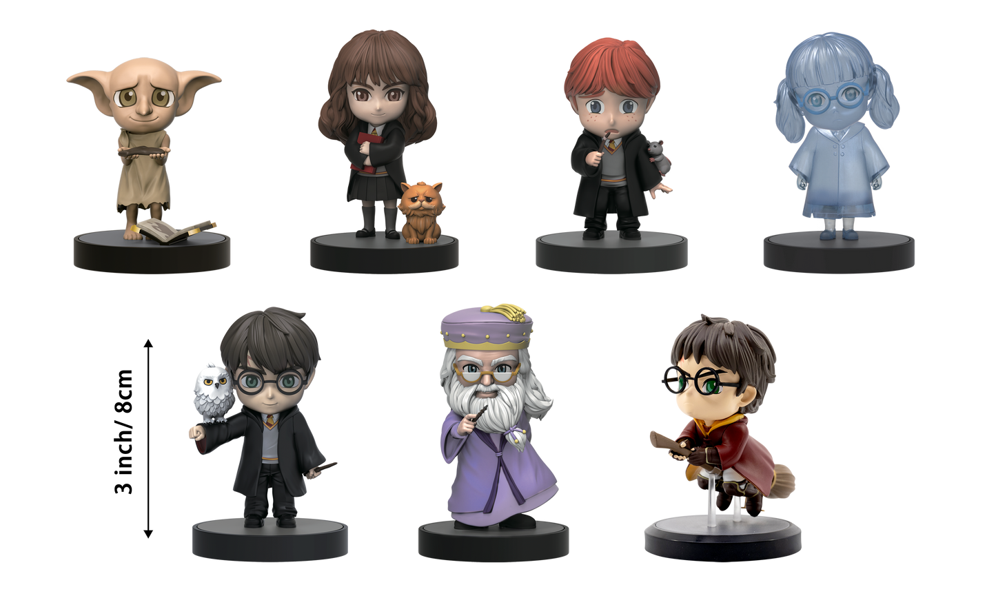 Wizarding World Harry Potter Hero Box - Blind Box CDU